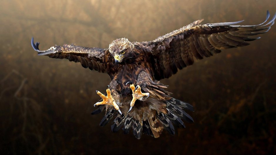 Крылья ангела референсы сзади