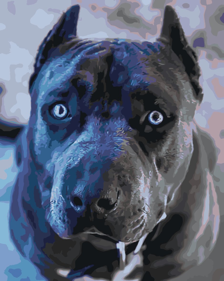 Стаффордширский питбультерьер черный