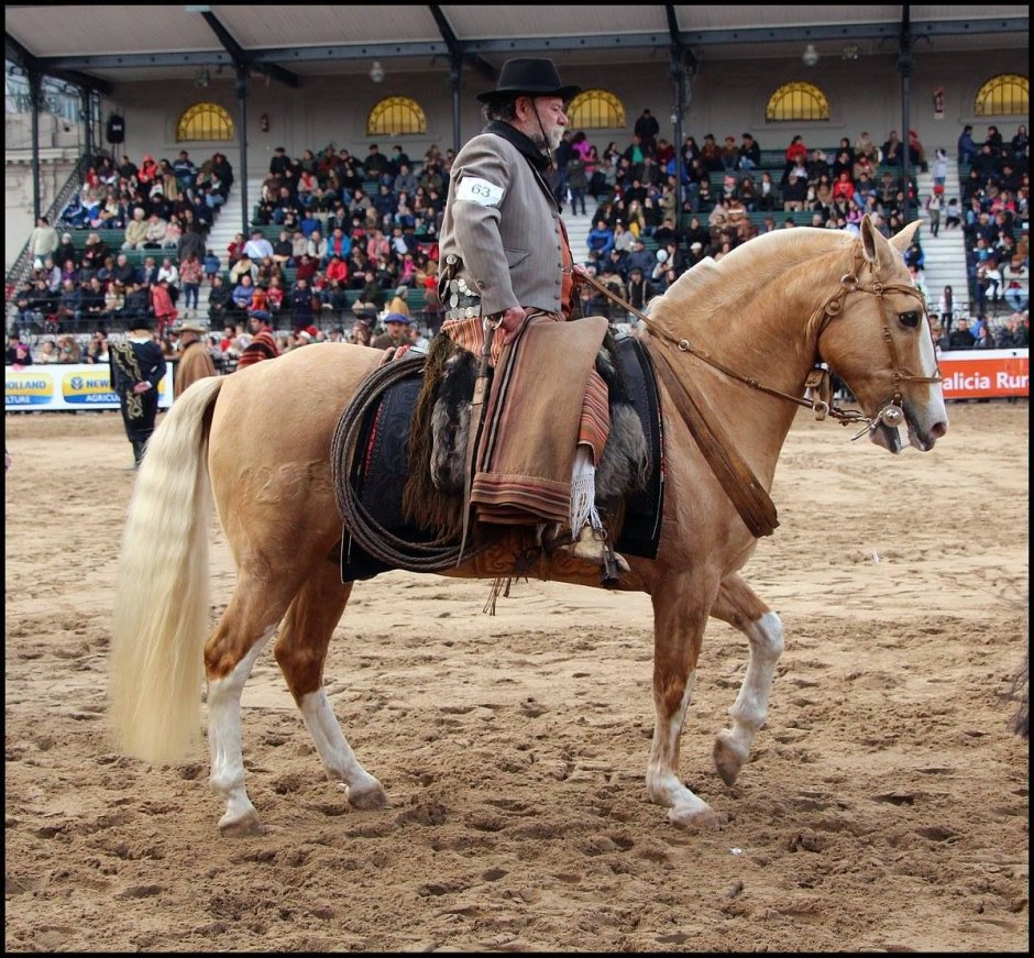 Gaucho валюта