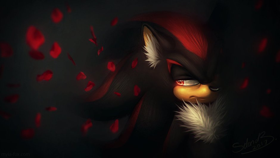 Shadow the Hedgehog обои