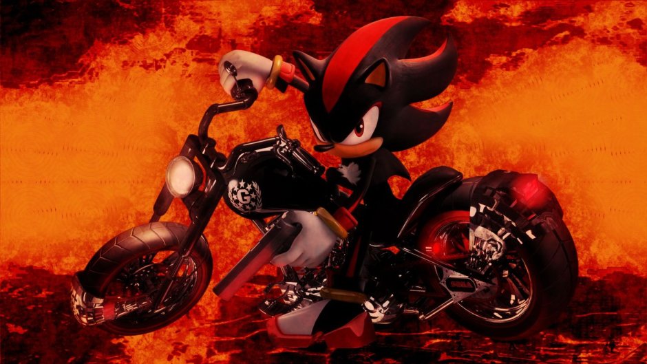 I am all of me Shadow the Hedgehog