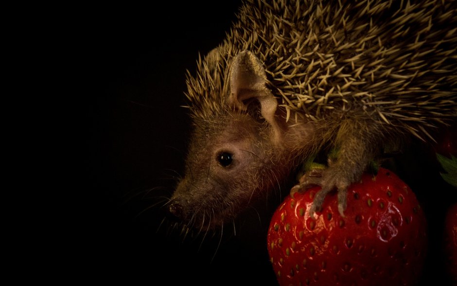 Красно черная абстракция