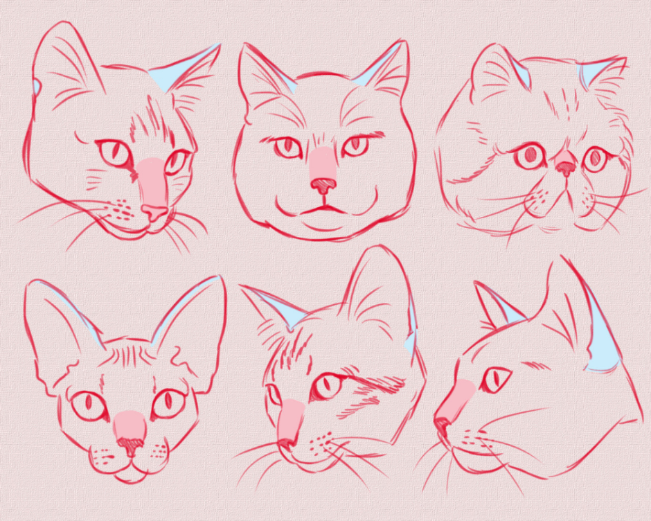 Голова кота сбоку референс