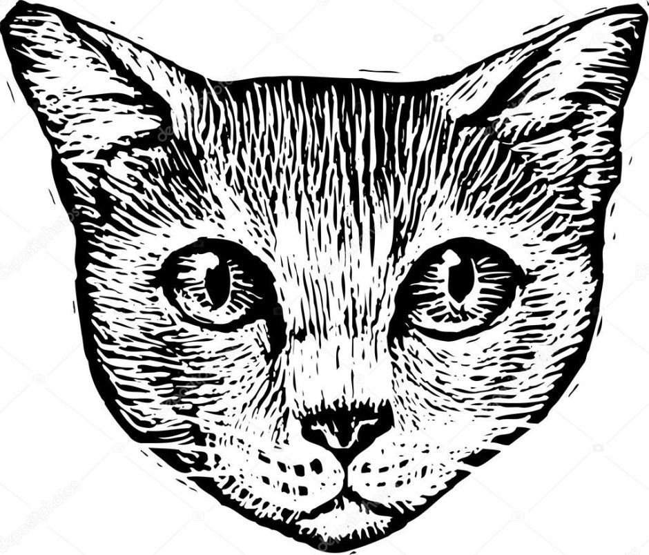 Стилизованные кошачьи морды без глаз