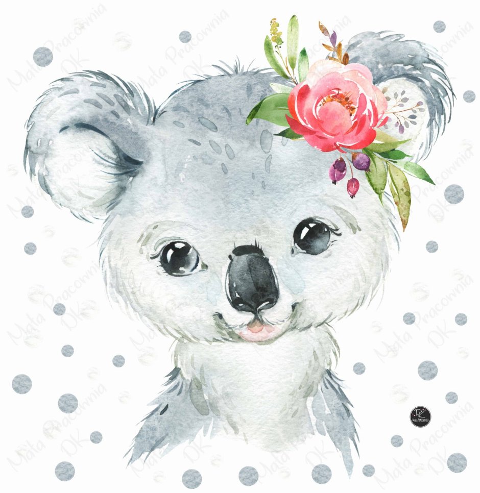 Коала и материк Австралия