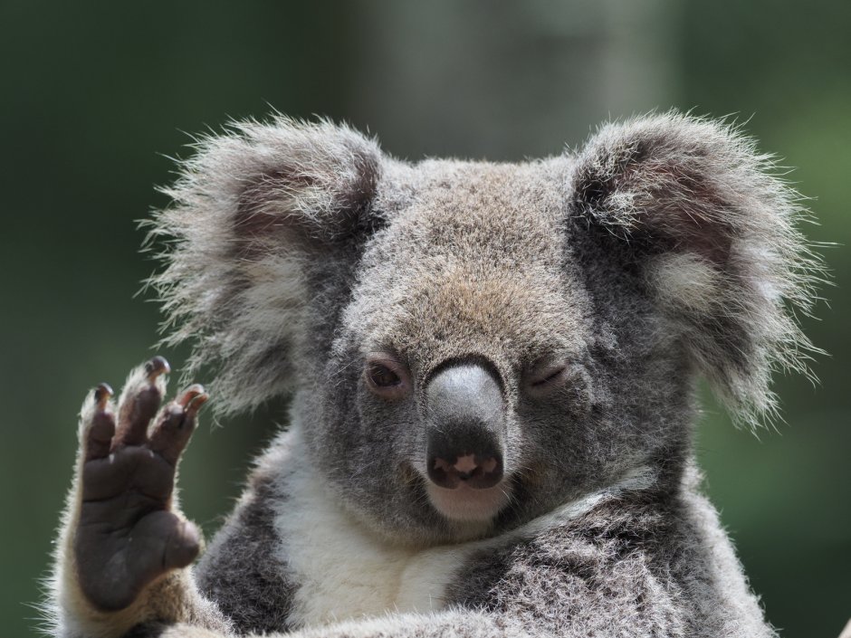Милые картинки для срисовки