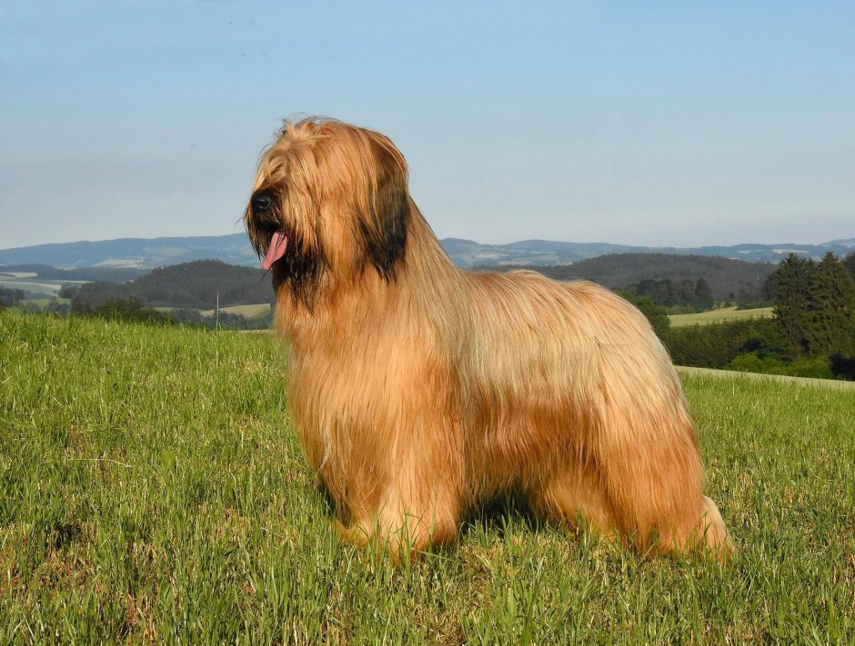 Чукчи Эскимосы Коряки