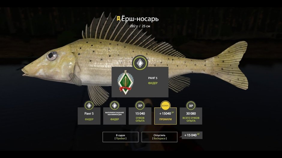 Ерш носарь рр4
