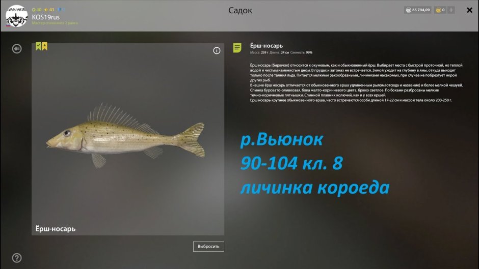 Русская рыбалка 4 Ерш носарь на Вьюнке