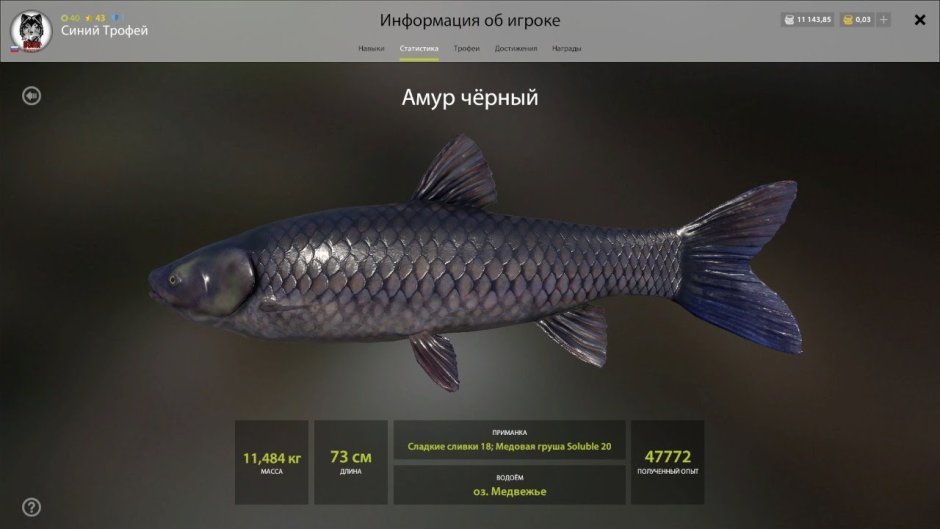 Трофейный черный Амур