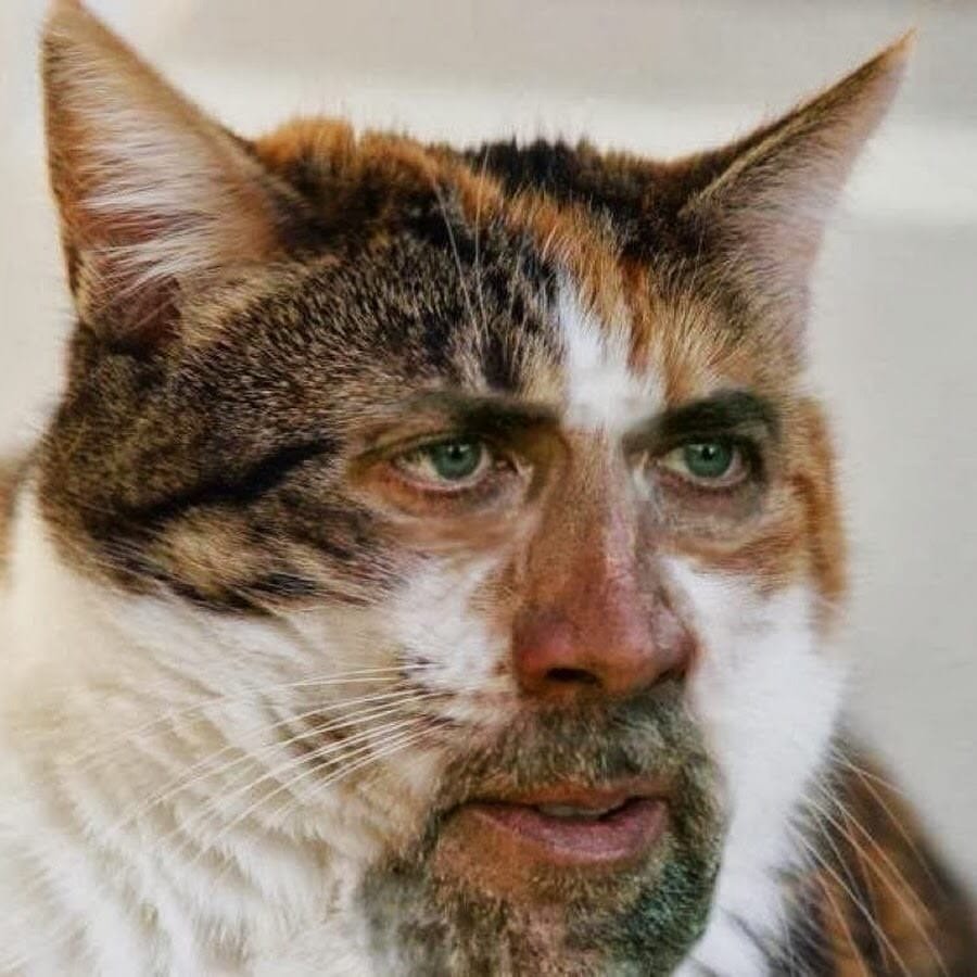 Усы карандаш