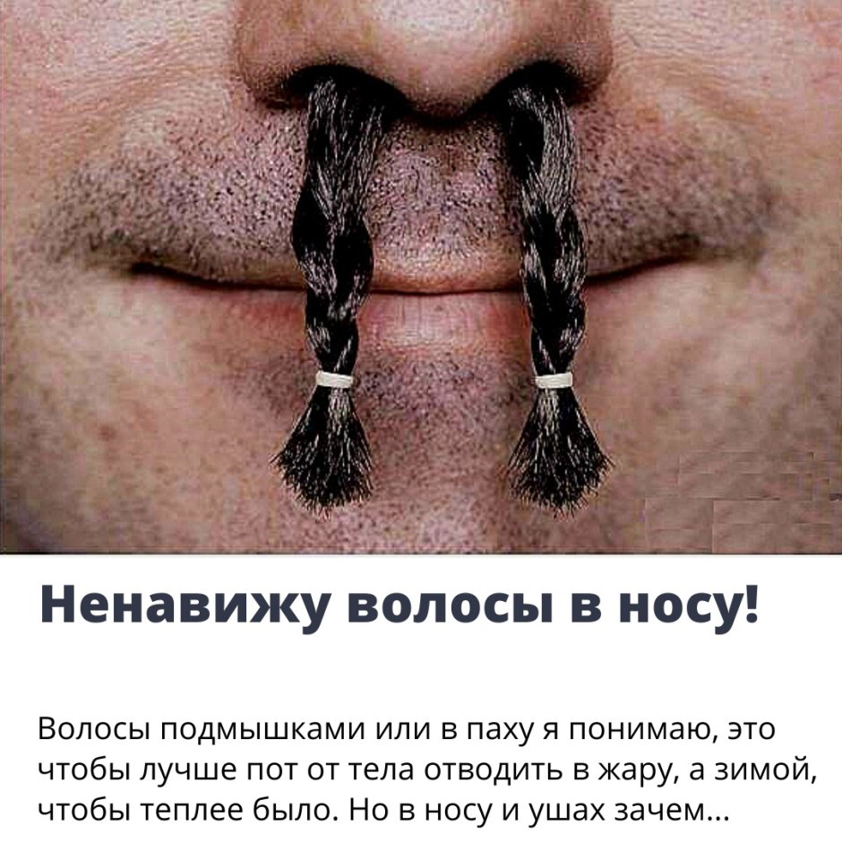 Усики кошки