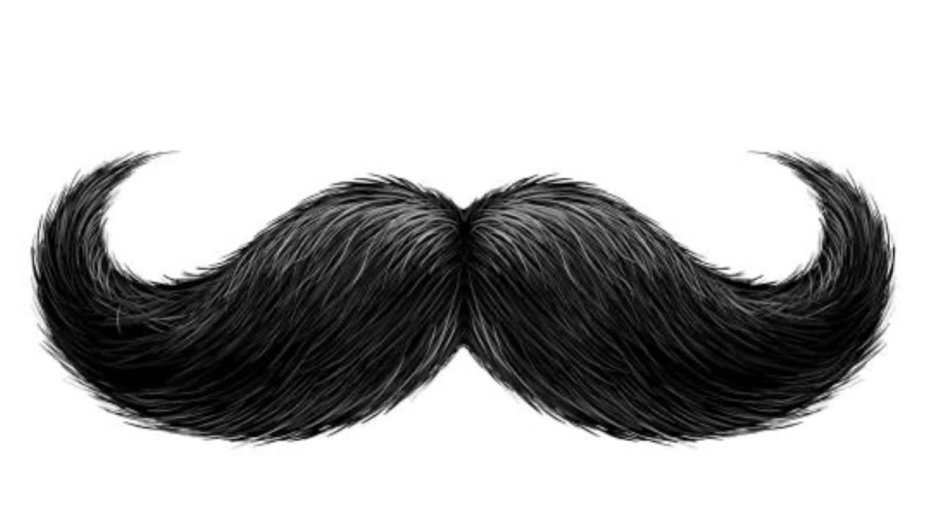 Носики и ротики животных