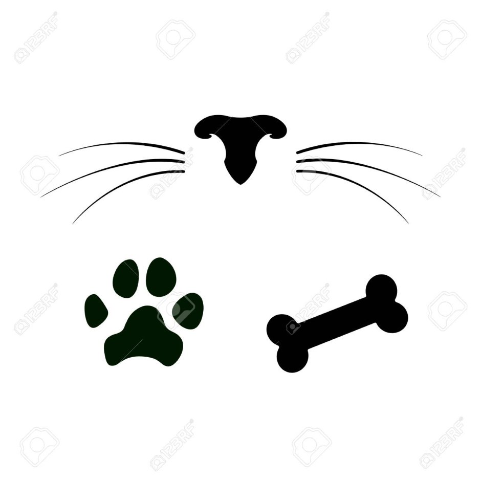 Лисичка усы