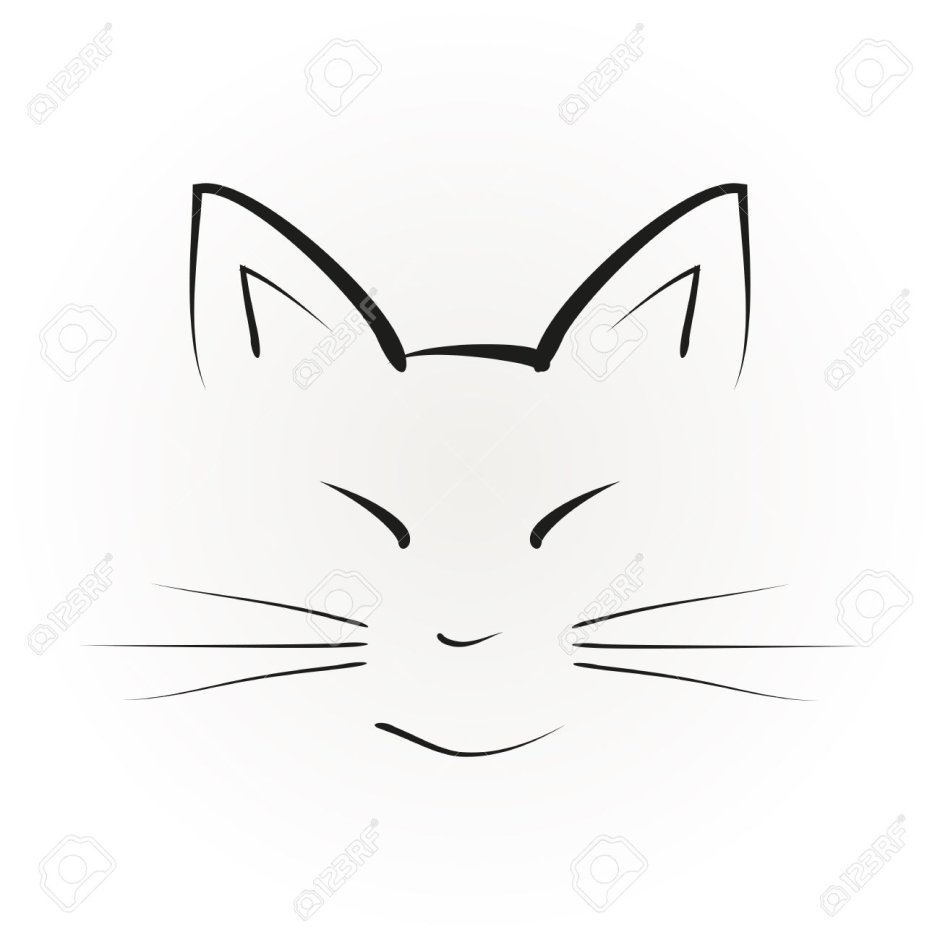 Ушки и усики котика