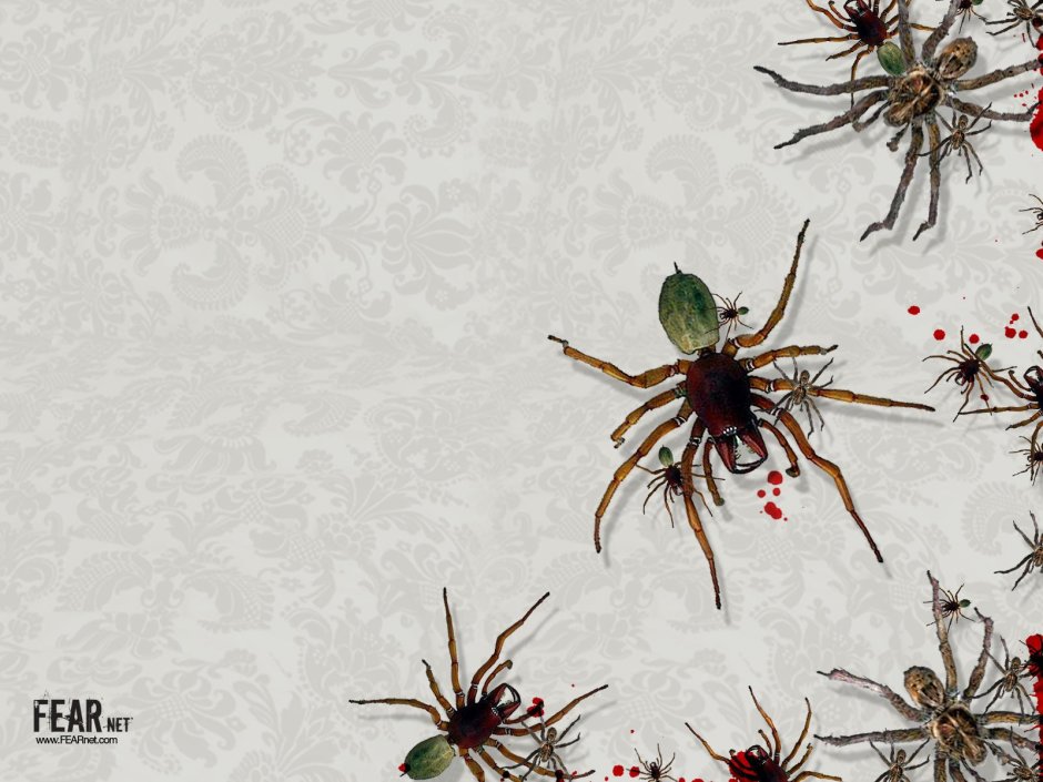 Spider man Art 4к