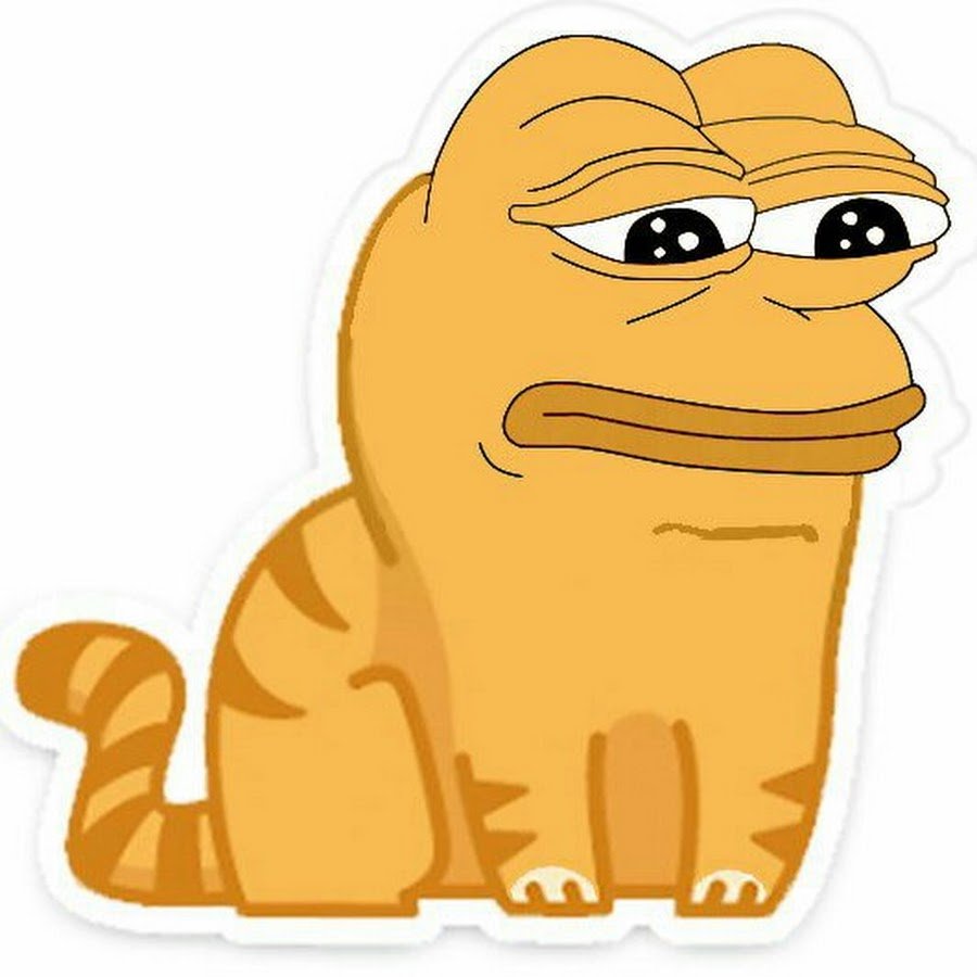 Кот персик Мем