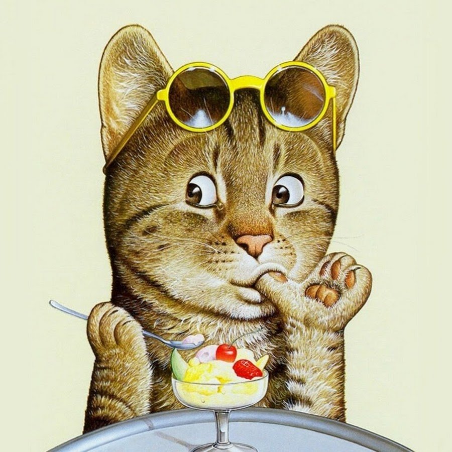 Приятного аппетита котик