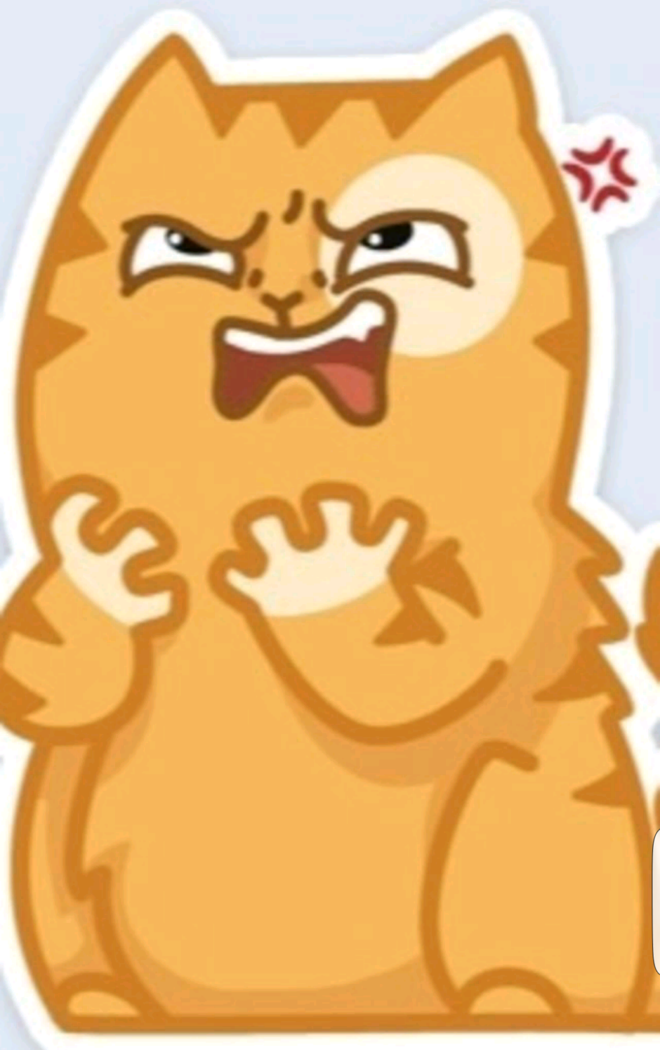 Стикеры. Кот
