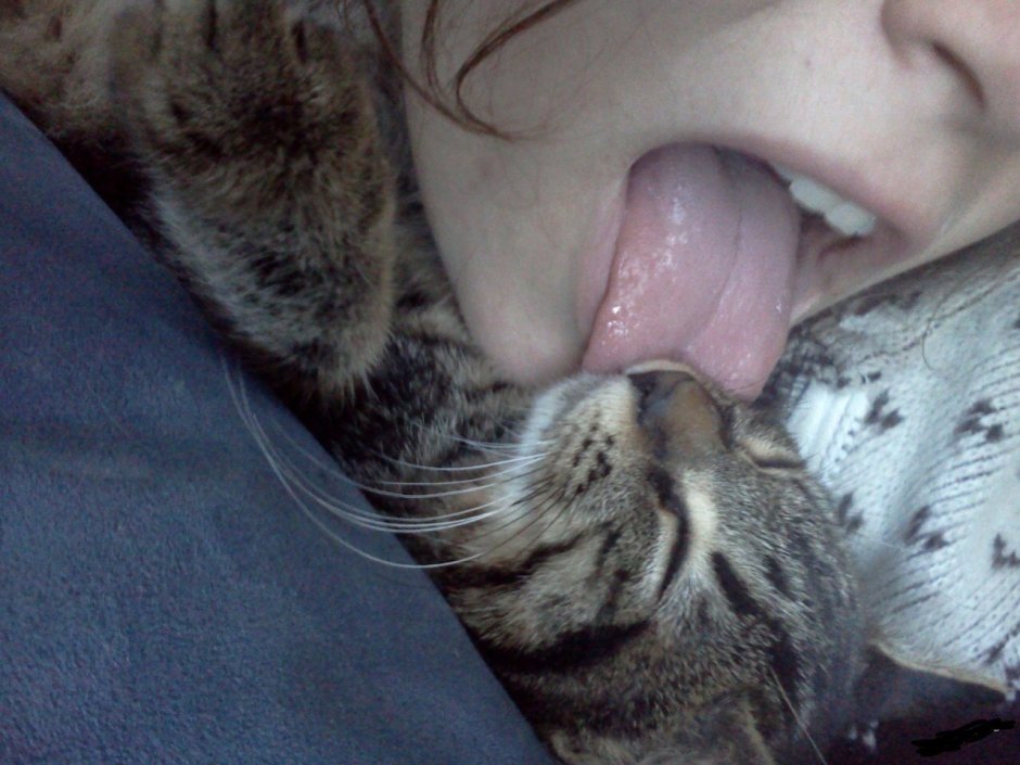 Девочка лижет кота