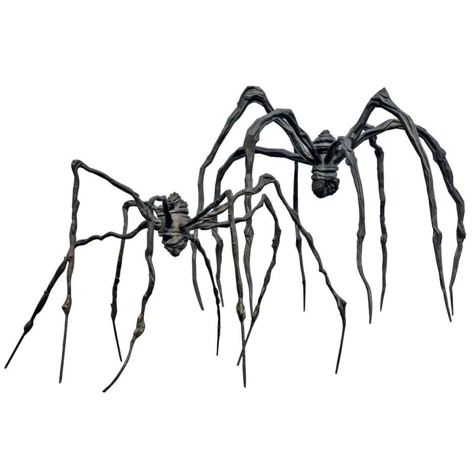 Тарантул сенокосец