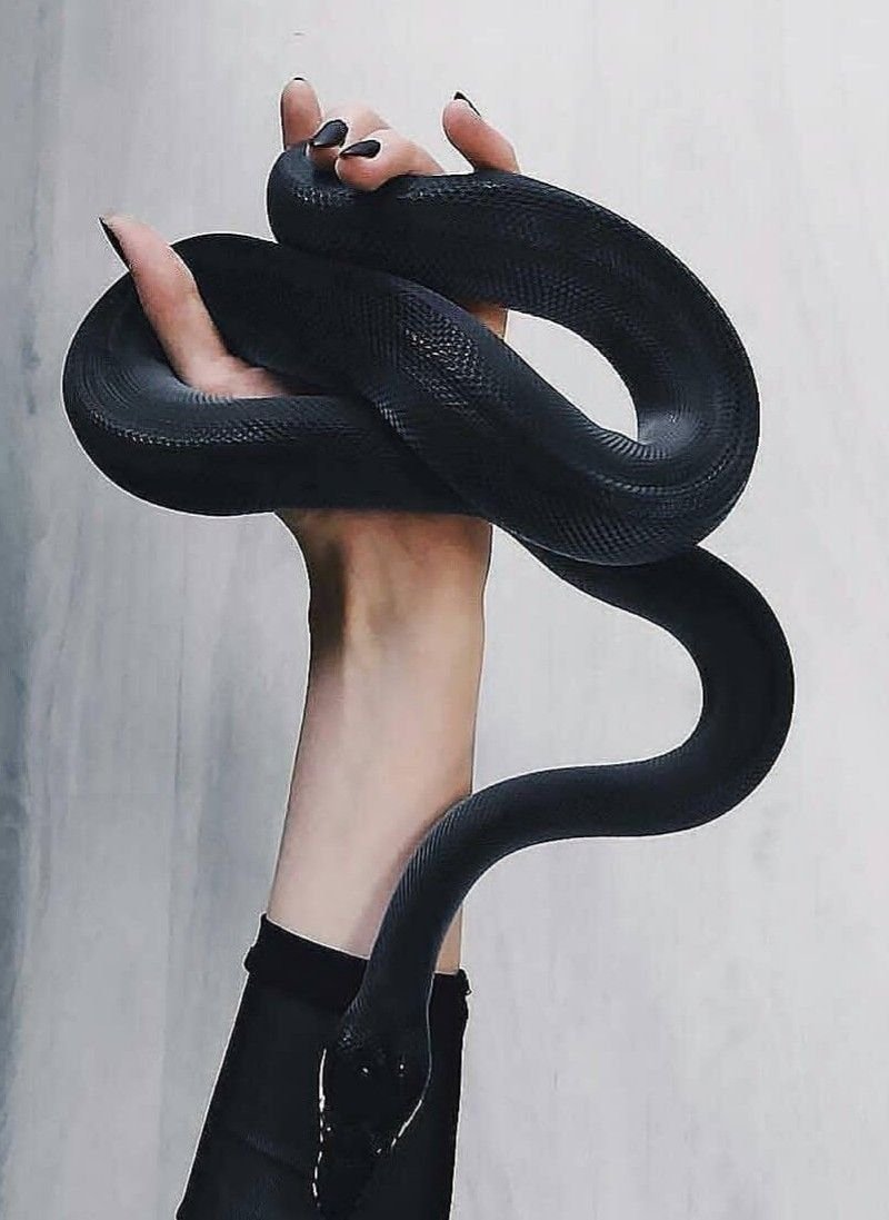 Как змея извивается под каблуком