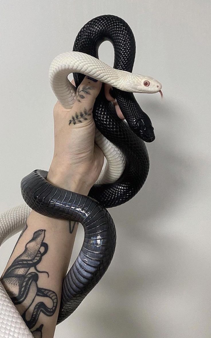 Белые змеи вокруг шеи