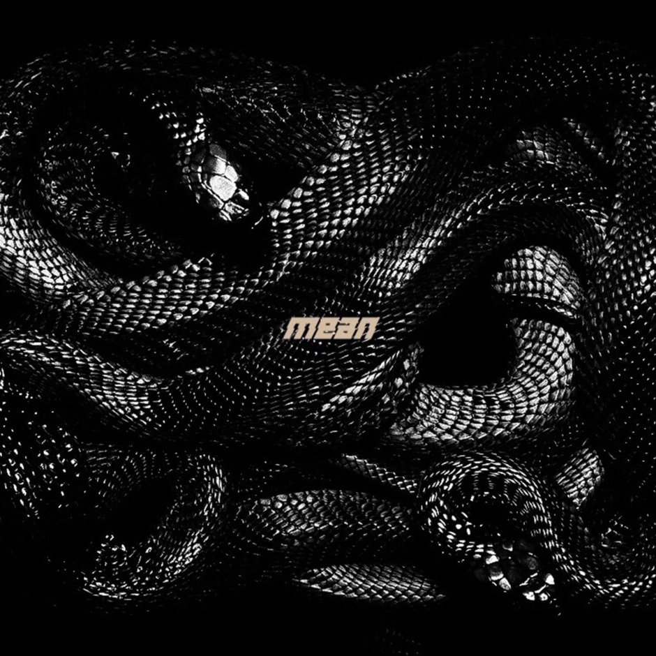 Браслет булгари змея