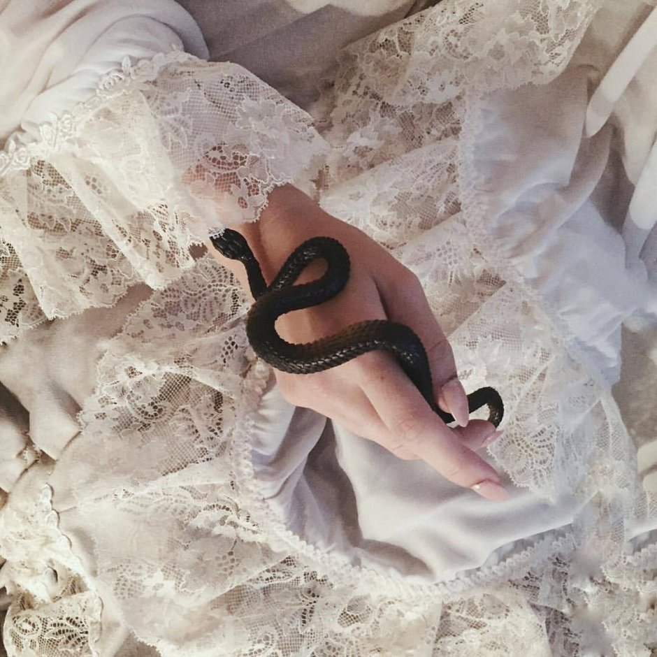 Блейк Снейк чёрная змея