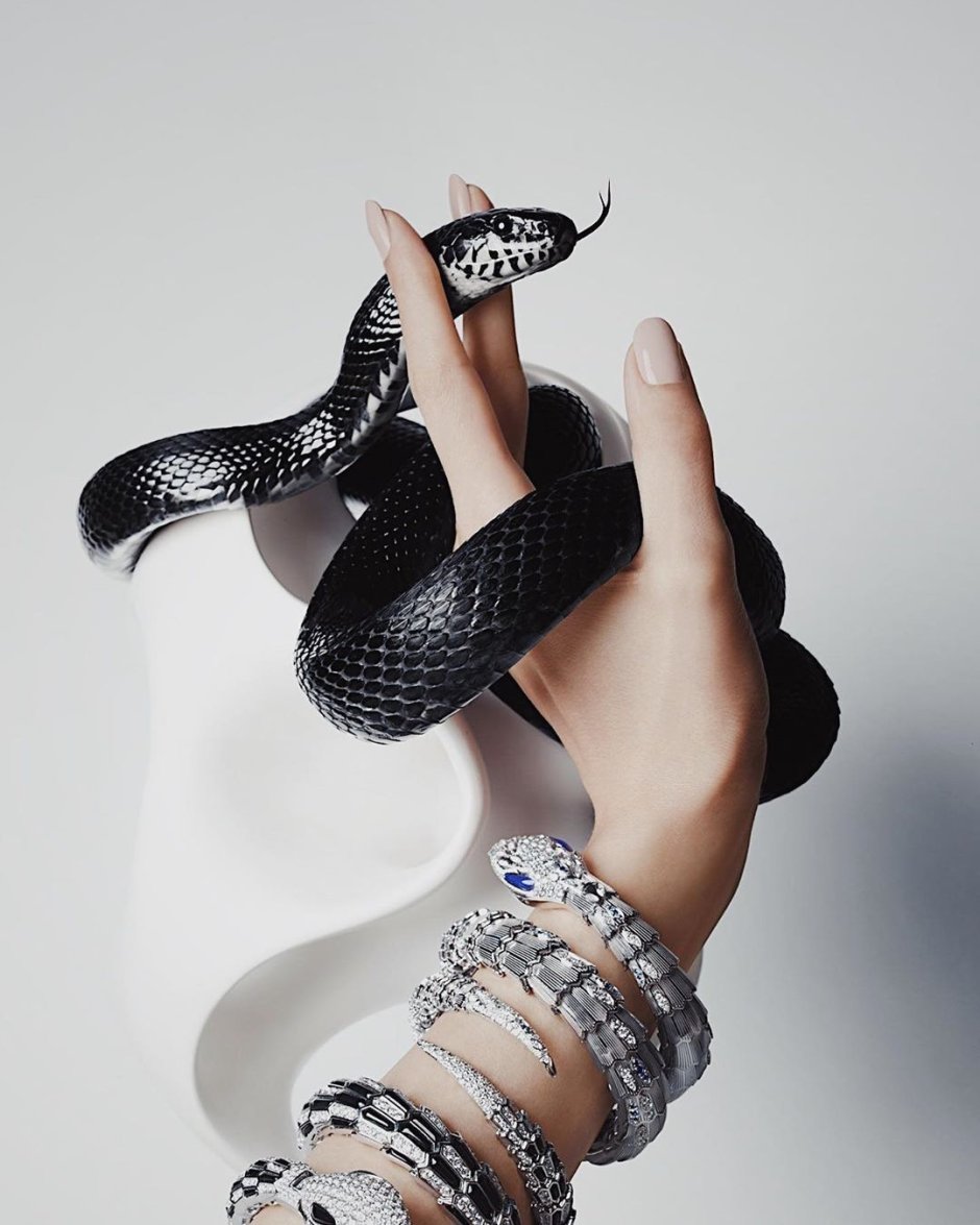 Черная змея арт