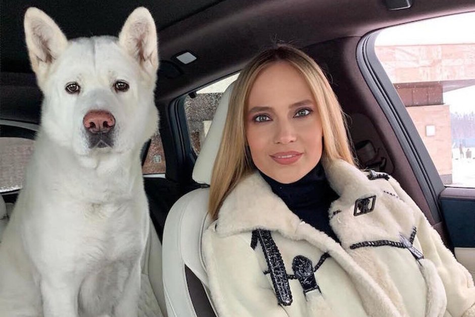 Некрупные породы собак