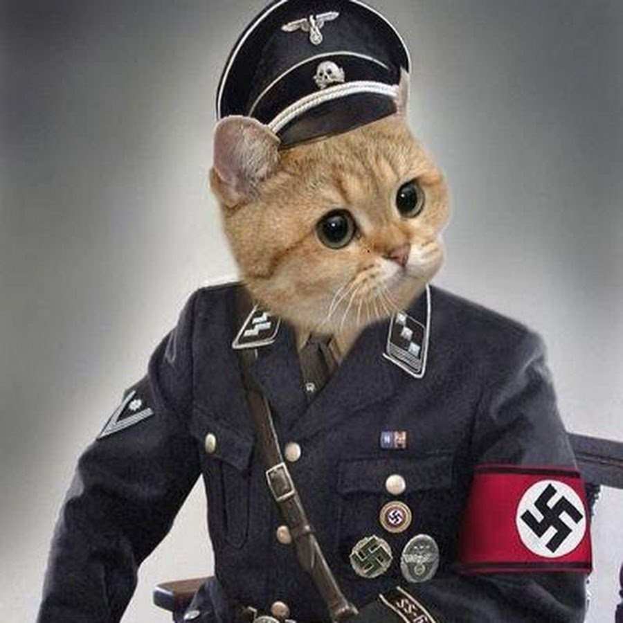 Коты нацисты