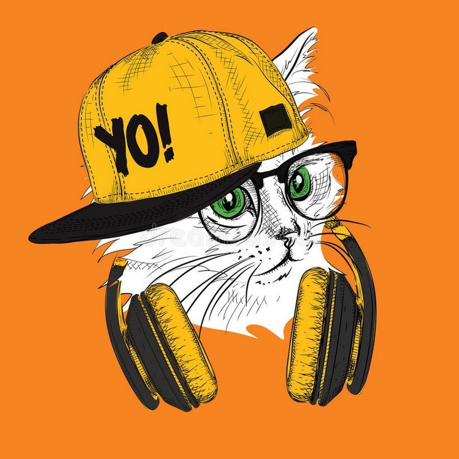 Кот с очками и кепкой