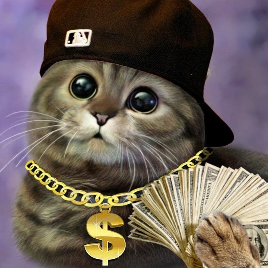 Крутой кот с цепью