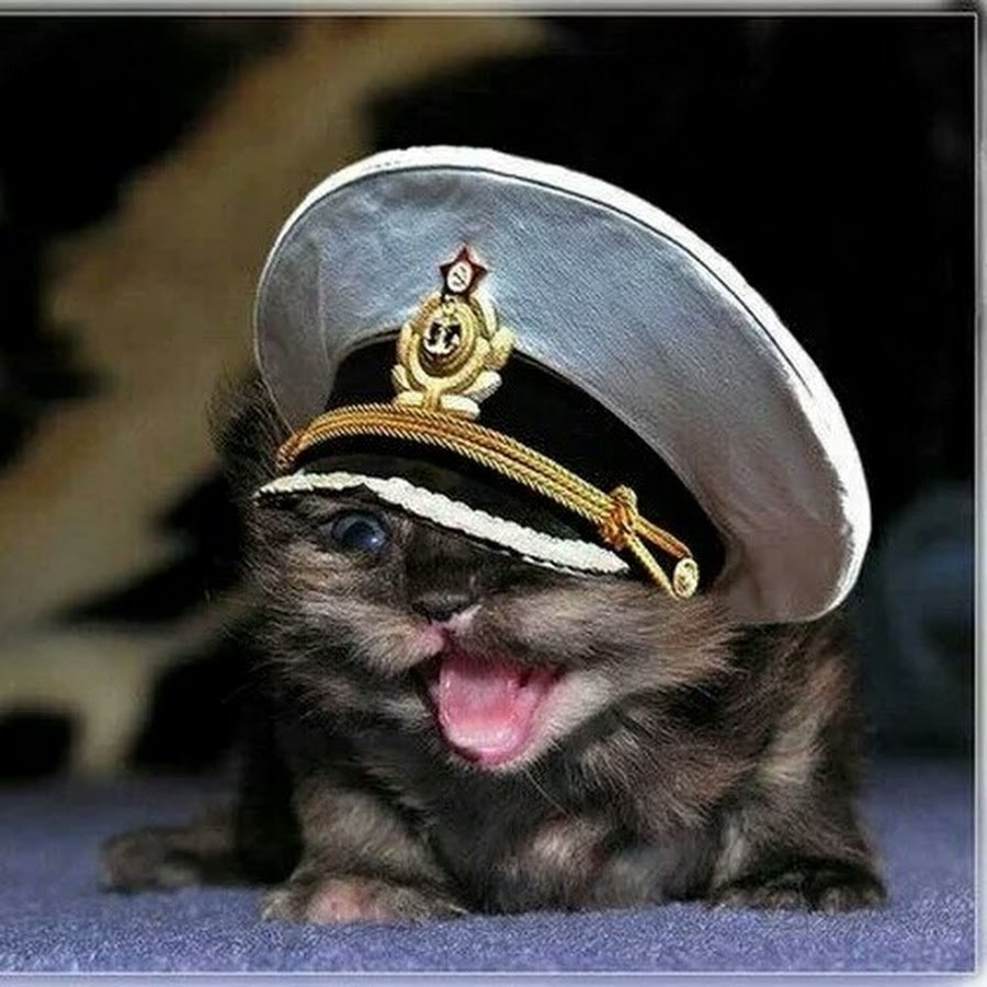 Открытка на 23 февраля моряку