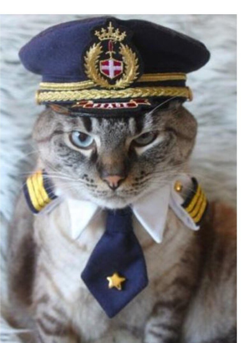 ЕОТ В полицейской форме