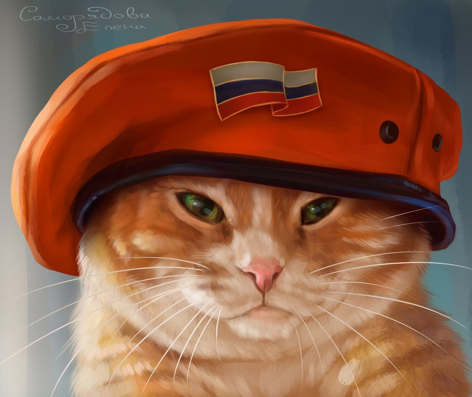 Рыжий кот в кепке