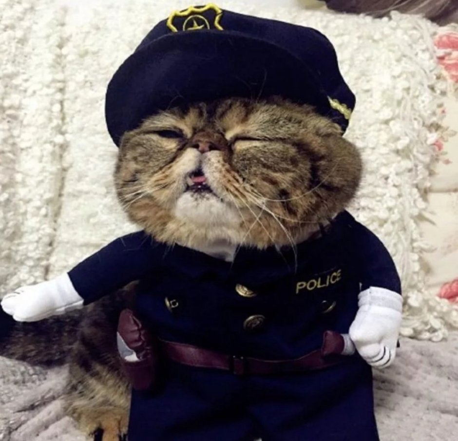 Костюм полицейский для кота