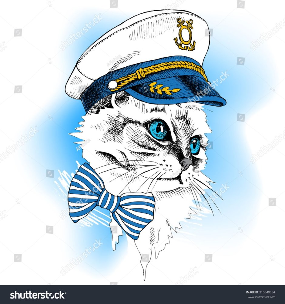 Кот в морской форме