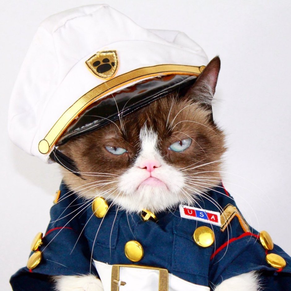 Кот матрос Сергей Иванович