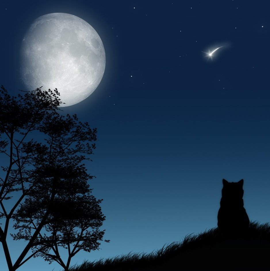 Ночь Луна
