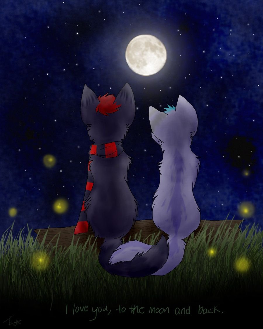 Доброй ночи обнимаю