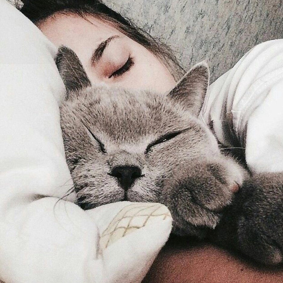 Девушка спит с котом