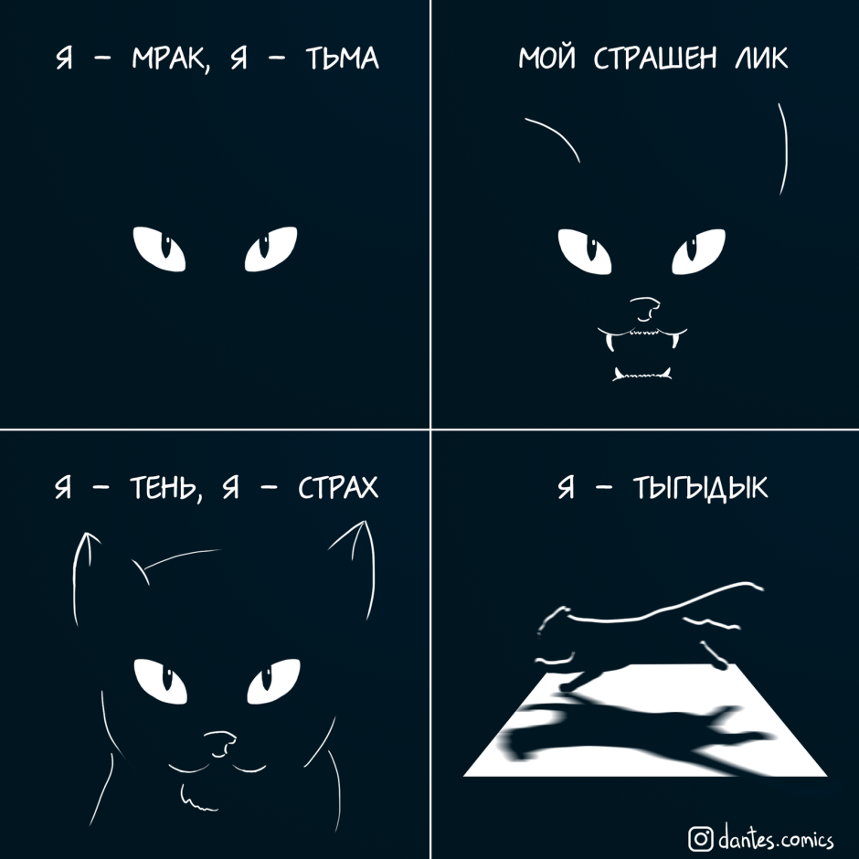 Кот ночью Мем