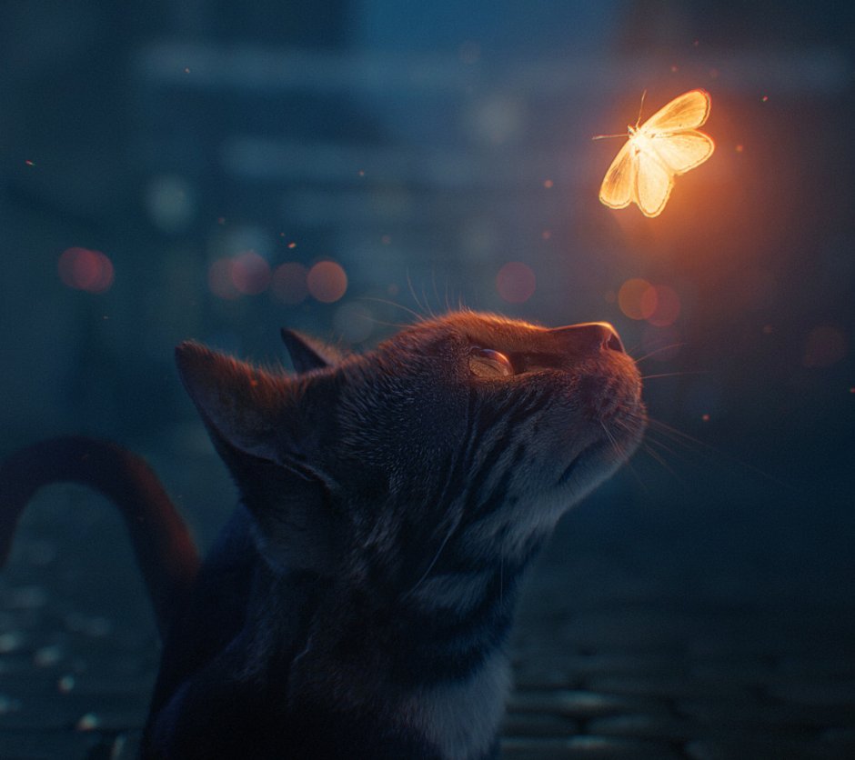 Кошка с бабочками