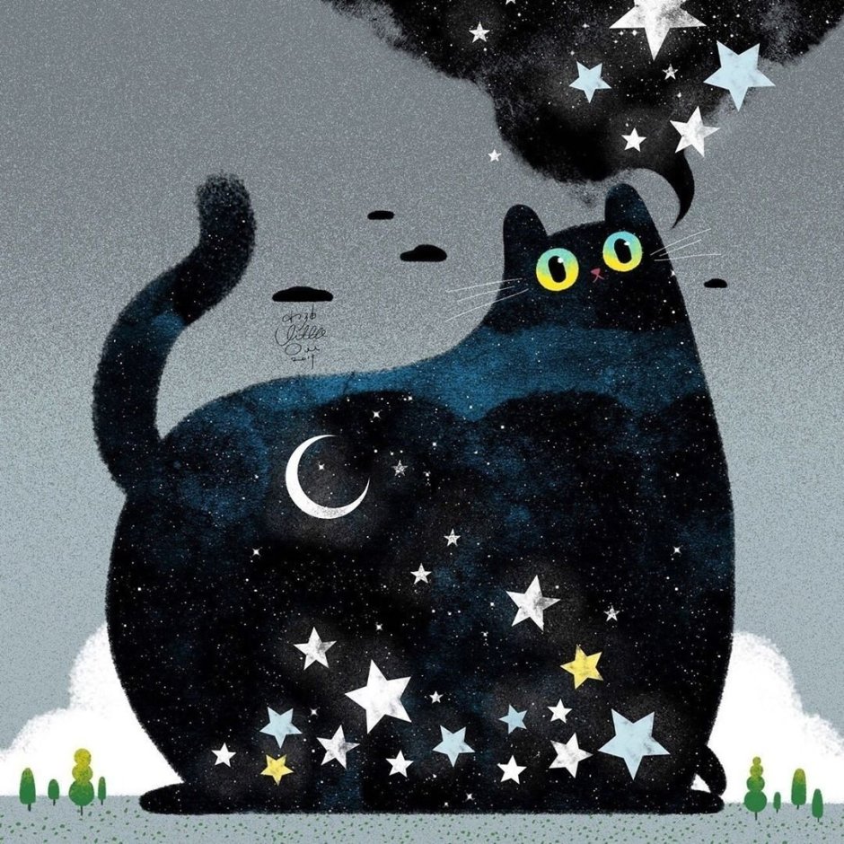 Звёздный котик