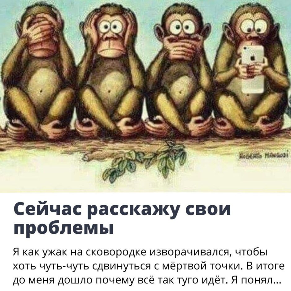 Мидзару Кикадзару Ивадзару