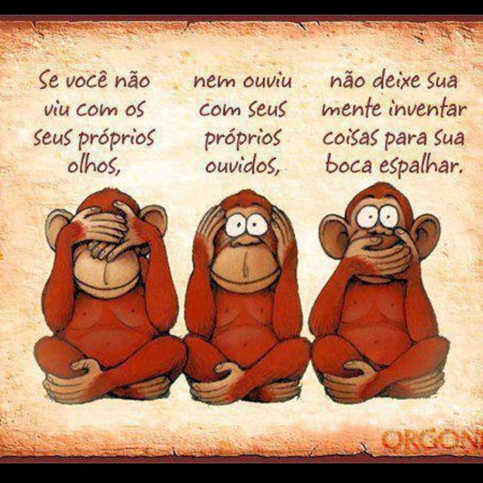 Обезьяны семейства мартышковых