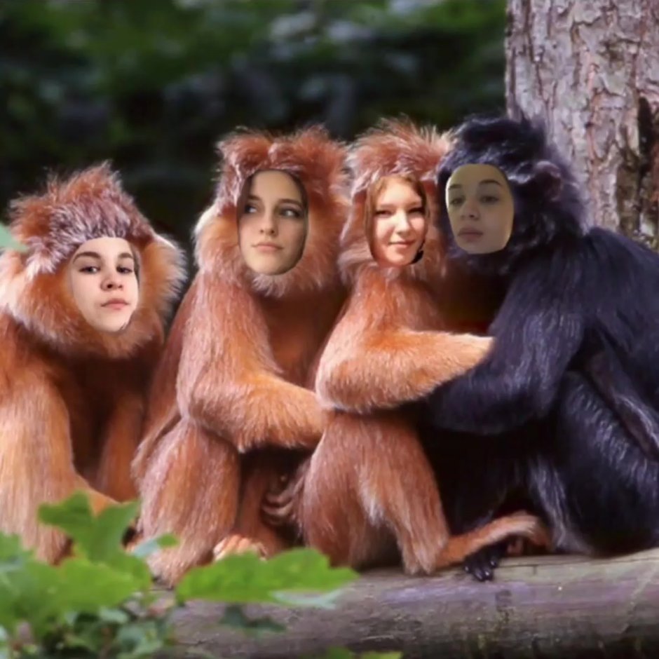 Четыре смешные обезьяны