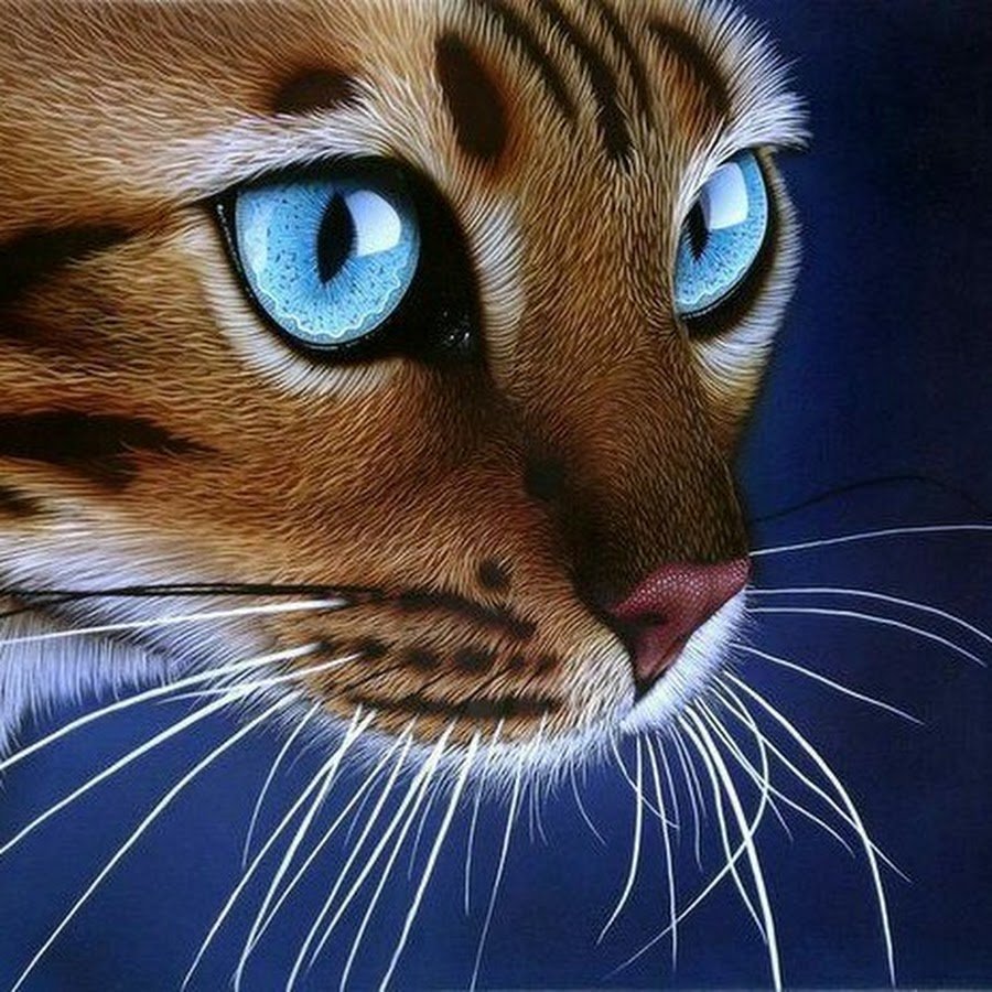 Бенгальская кошка с голубыми глазами